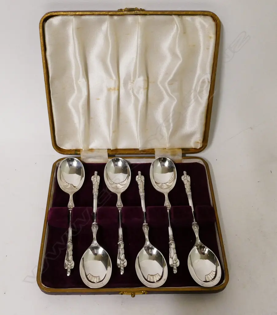 CASED S/S TEASPOONS Image 1++