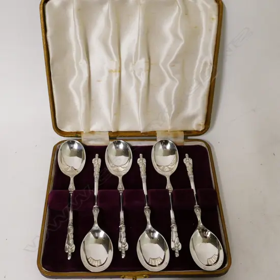 CASED S/S TEASPOONS