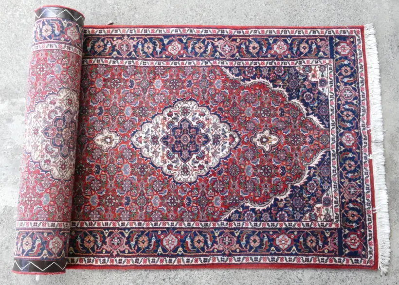 A Indian Jaipur runner Image 1++