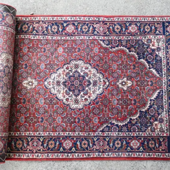 A Indian Jaipur runner