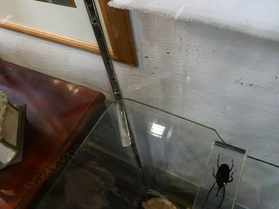 A vintage glass display cabinet Image 1++