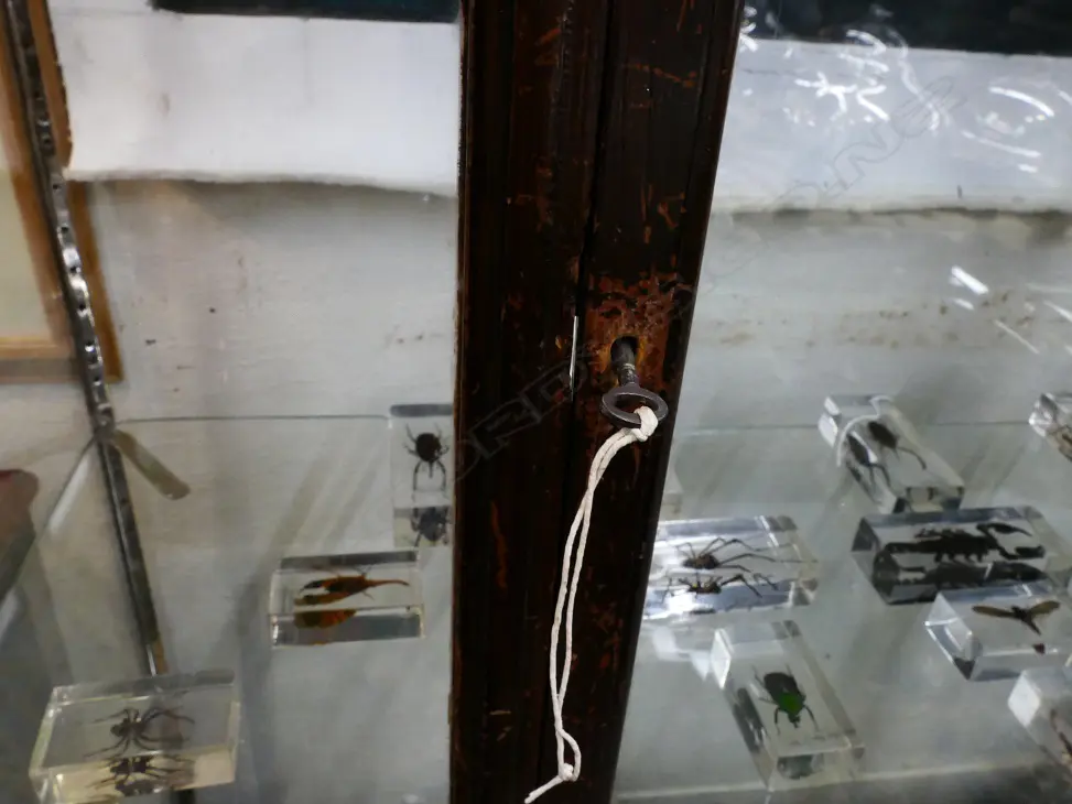 A vintage glass display cabinet Image 1++