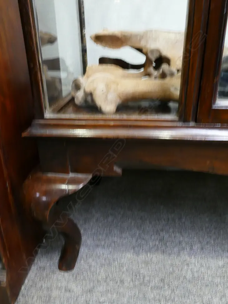 A vintage glass display cabinet Image 1++