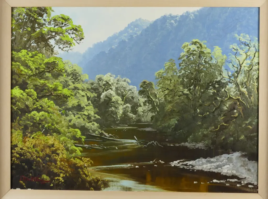 Jonathan R. White 'Windball Stream South Westland' Image 1++