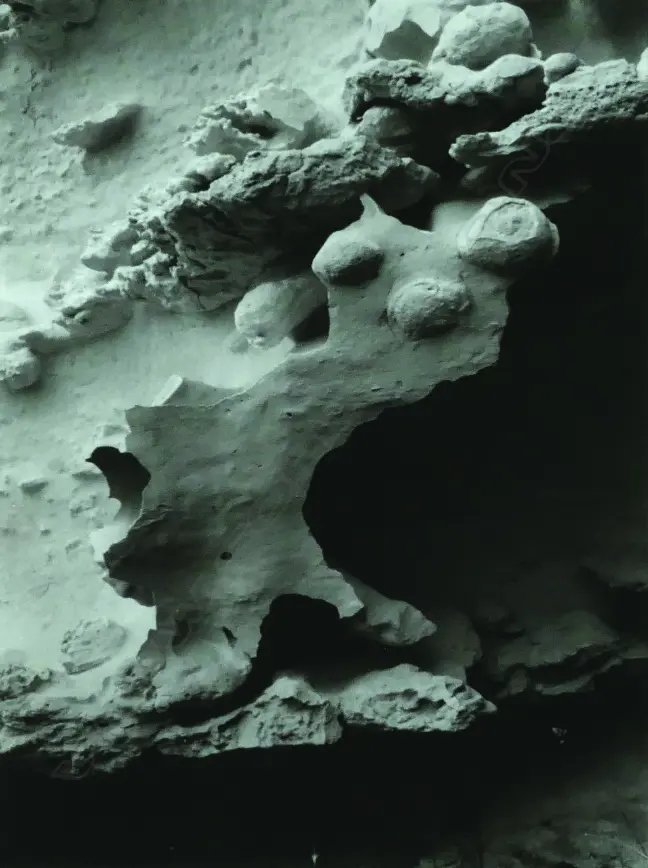 Theo Schoon Image 1++