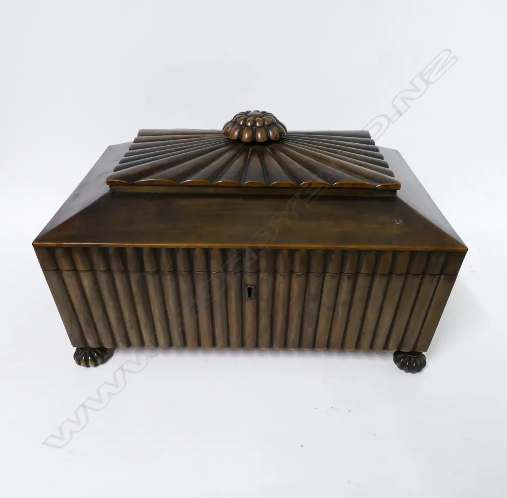 A 19thC Anglo-Indian Vizagapatam horn box Image 1++