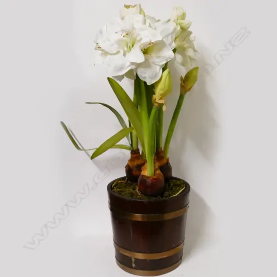 A vintage oak and brass coopered plant pot