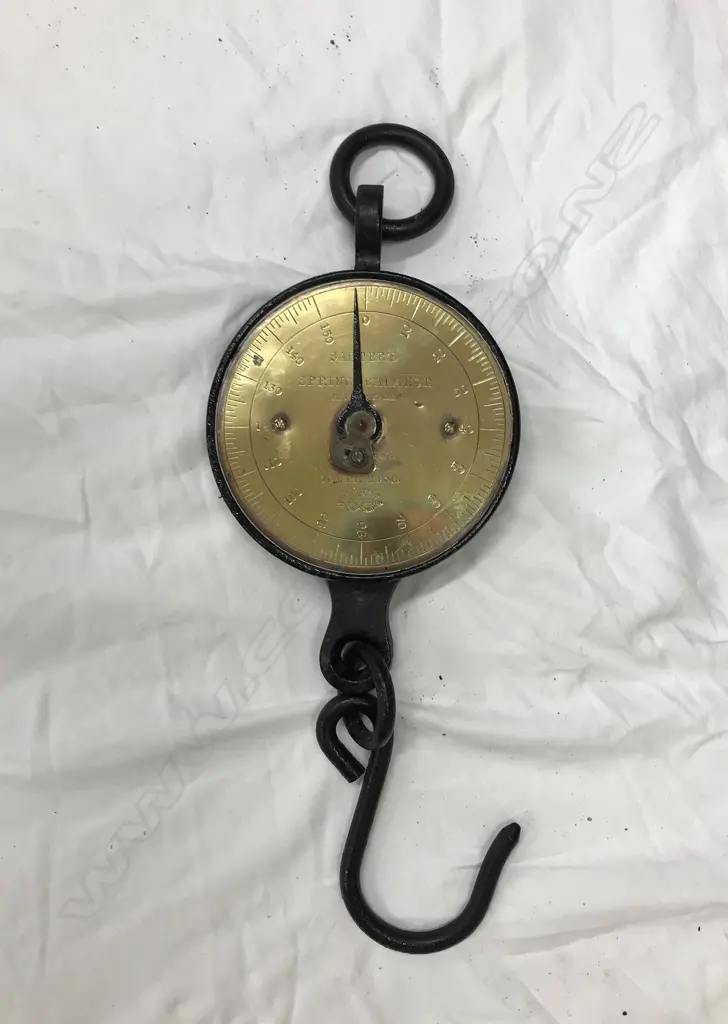 A Salter's scale Image 1++
