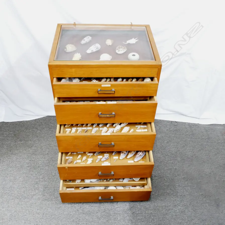 A modern five-drawer collector's cabinet Image 1++