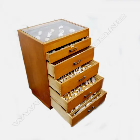 A modern five-drawer collector's cabinet