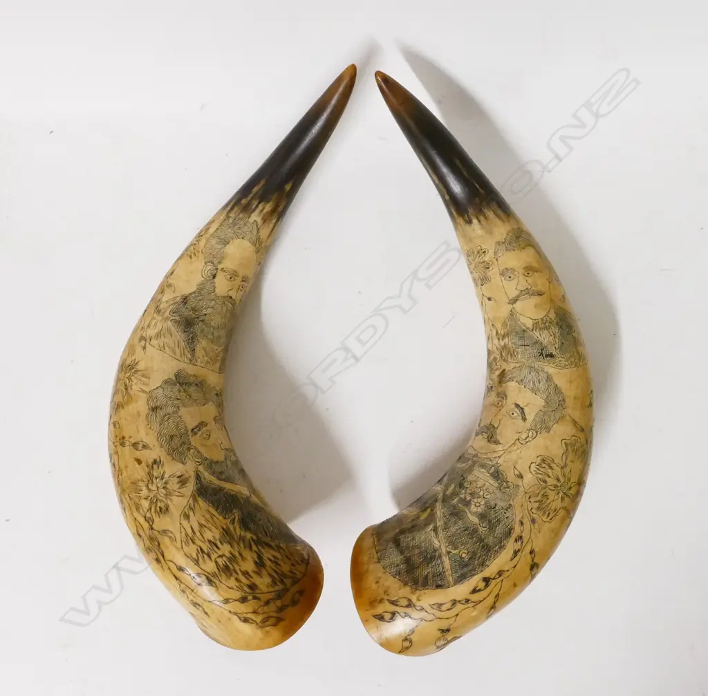 A pair of scrimshaw bullock horns Image 1++