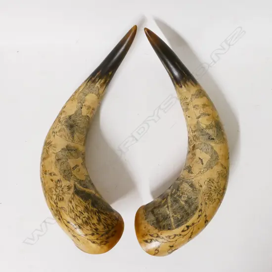A pair of scrimshaw bullock horns