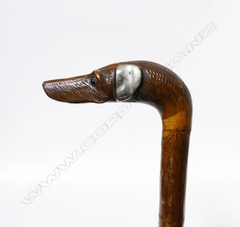 A walking stick with a dog's head handle Image 1++