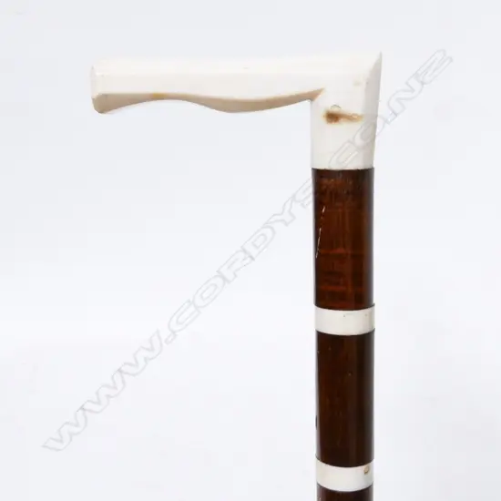A 19thC walking stick