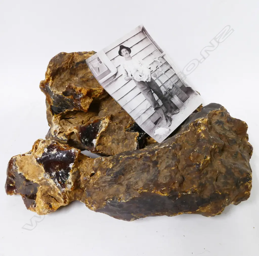 A large lump of unpolished N.Z. kauri gum in three pieces. Weight 4.37 kilos. Together with a photograph of Clifford Lea Petterson who dug the gum between 1913 and 1917 near where he lived in Taupiri Image 1++