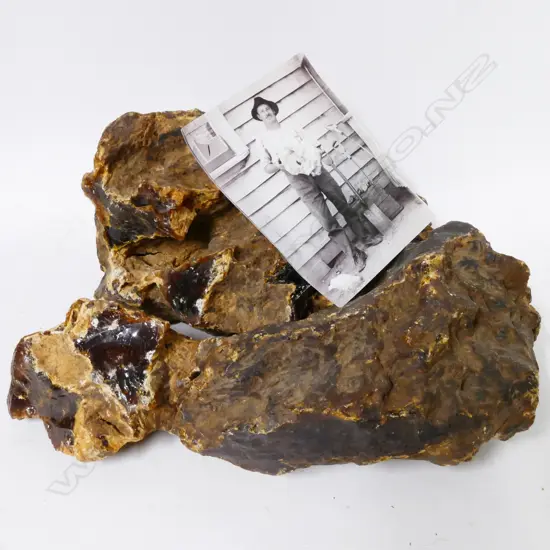 A large lump of unpolished N.Z. kauri gum in three pieces. Weight 4.37 kilos. Together with a photograph of Clifford Lea Petterson who dug the gum between 1913 and 1917 near where he lived in Taupiri