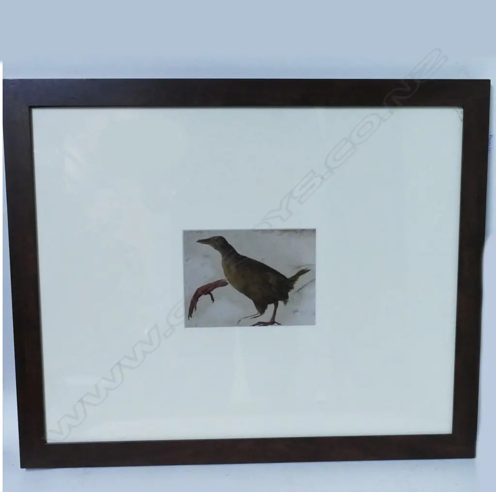 A 19thC oil sketch of a weka Image 1++