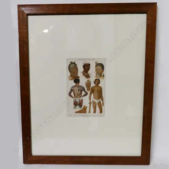 An early 20thC German chromolithograph