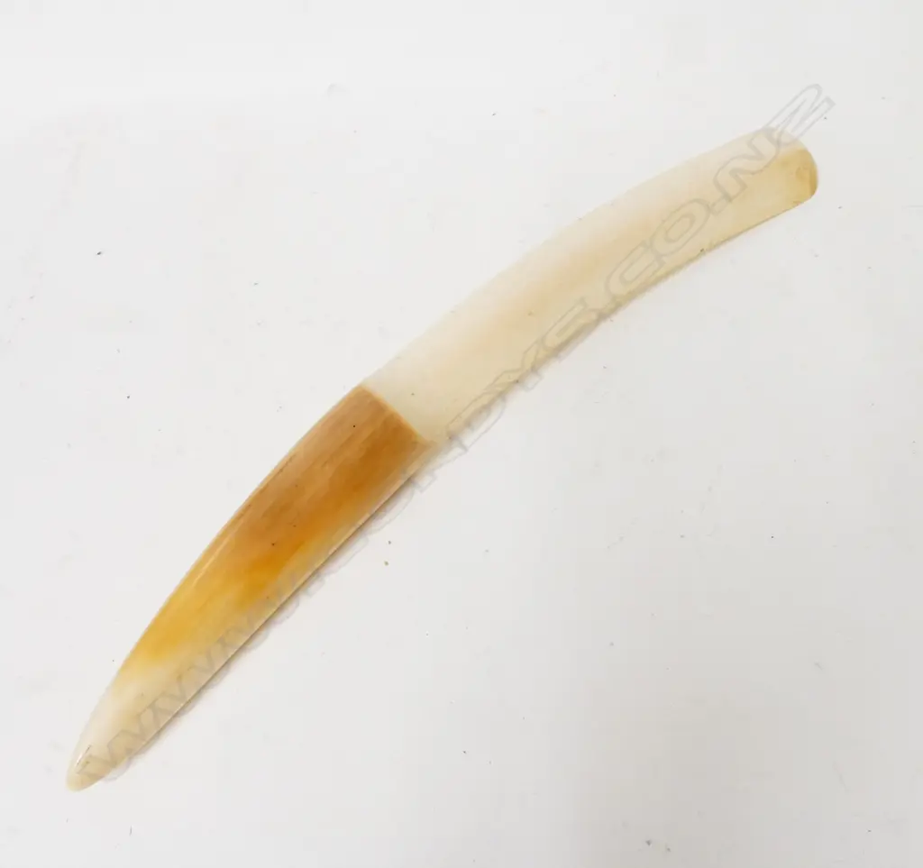 An old ivory page turner Image 1++