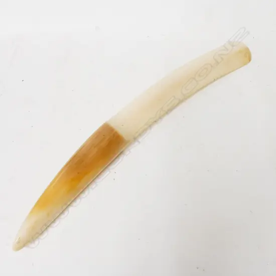 An old ivory page turner