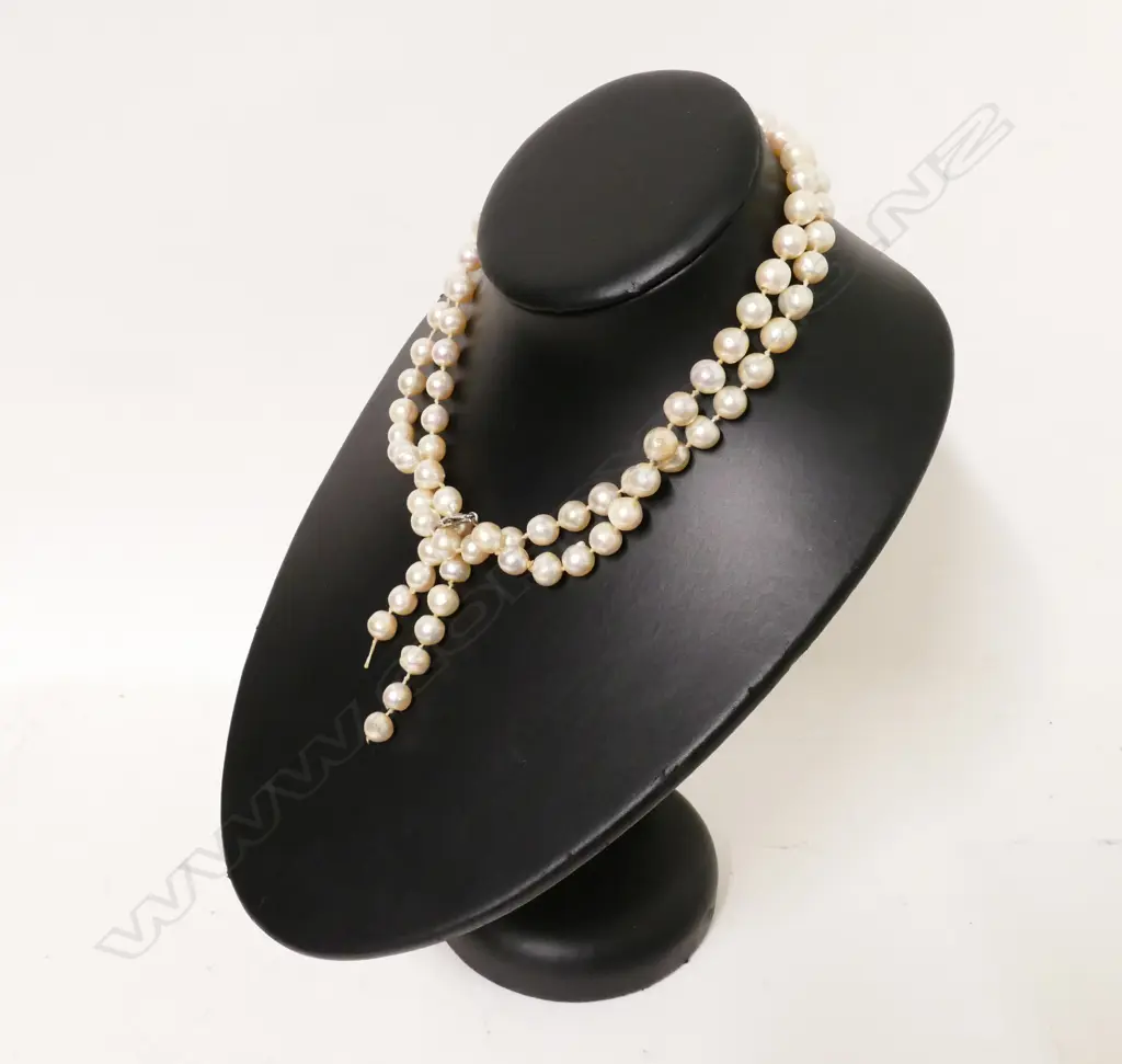A single strand cultured pearl necklace Image 1++