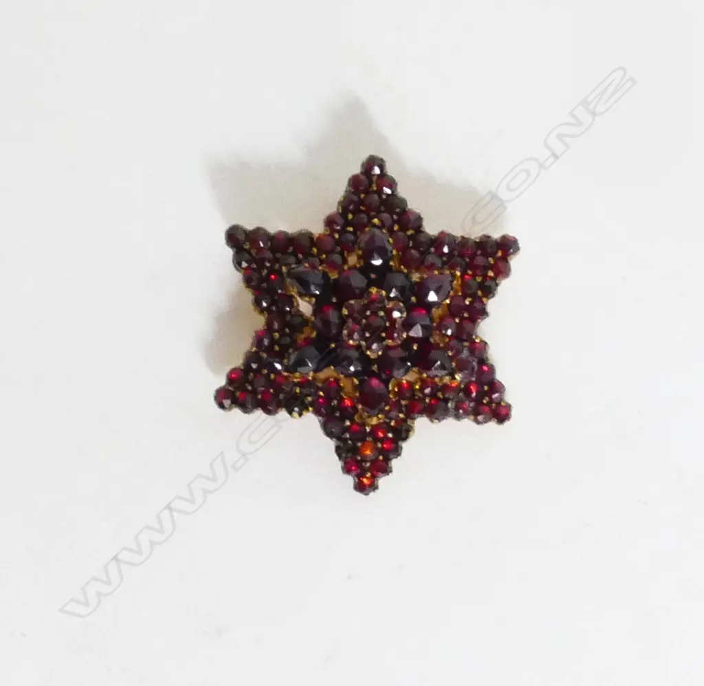 A vintage Bohemian garnet brooch Image 1++
