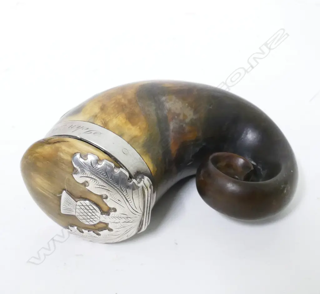 A Georgian Scottish horn snuff mull with silver mounts Image 1++