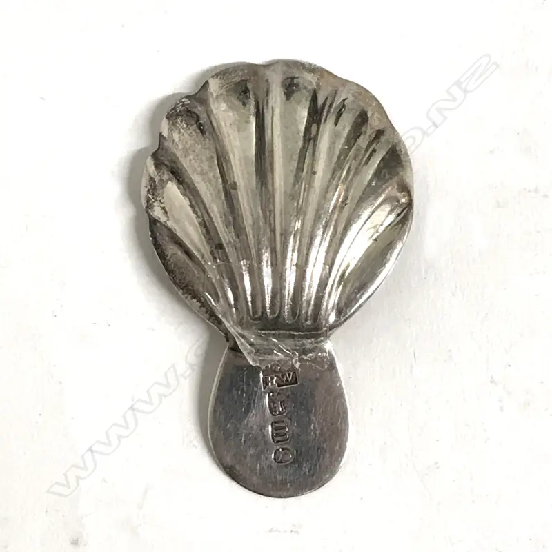 A George IV silver caddy spoon with shell bowl and beaded handle Image 1++