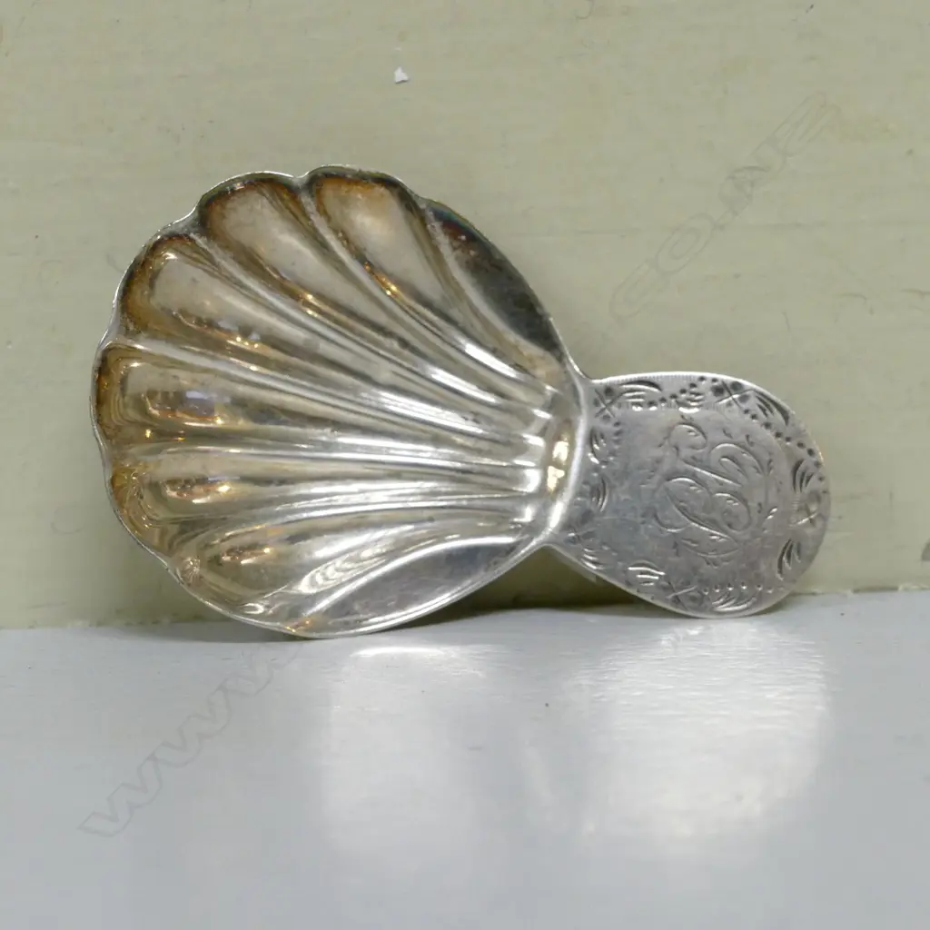 A George IV silver caddy spoon with shell bowl and beaded handle Image 1++