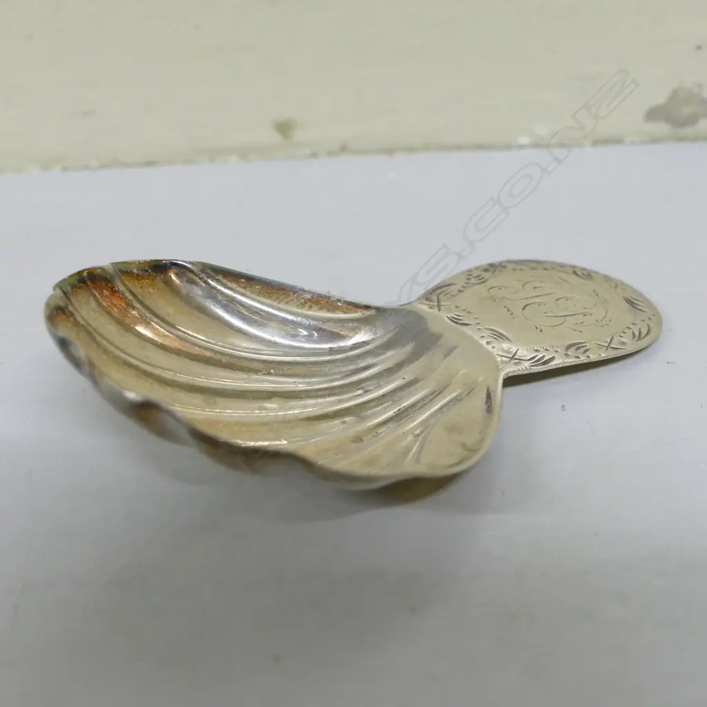 A George IV silver caddy spoon with shell bowl and beaded handle Image 1++