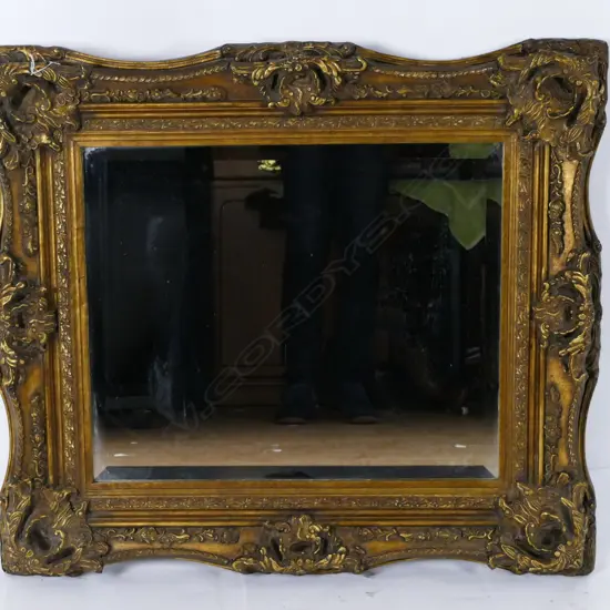An ornate moulded gilt framed mirror